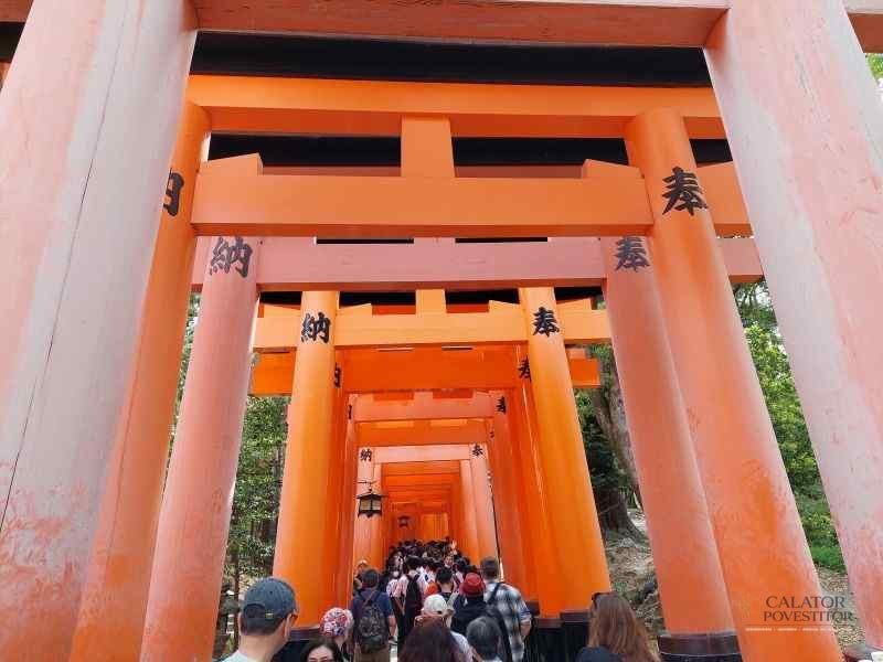 Top 5 atractii turistice din Kyoto – Japonia — 24