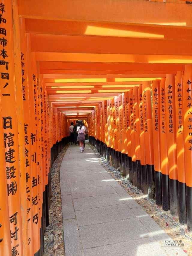 Top 5 atractii turistice din Kyoto – Japonia — 25
