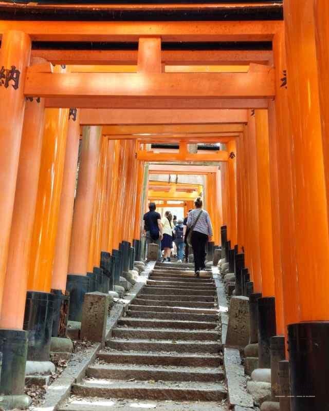 Top 5 atractii turistice din Kyoto – Japonia — 28