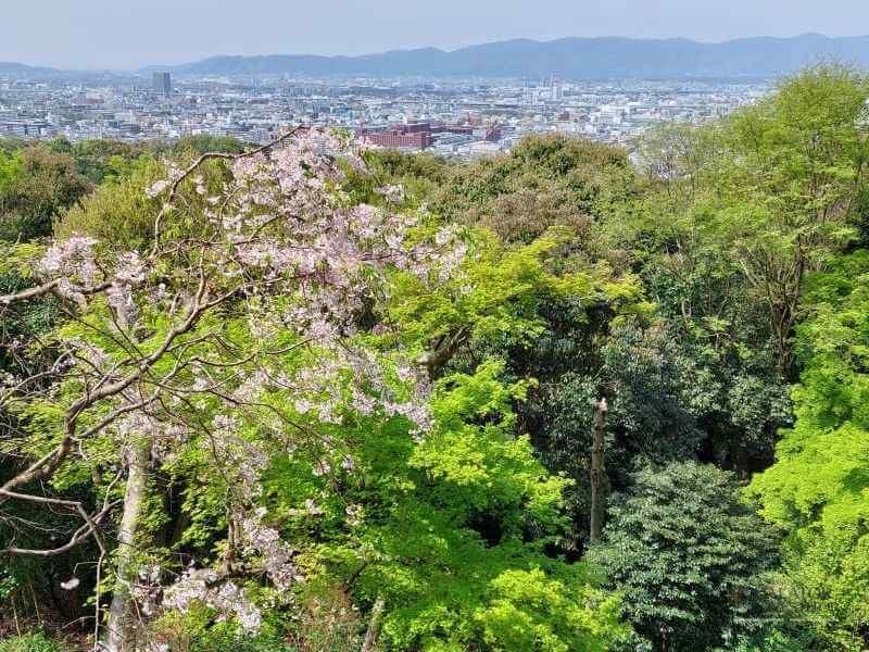 Top 5 atractii turistice din Kyoto – Japonia — 30