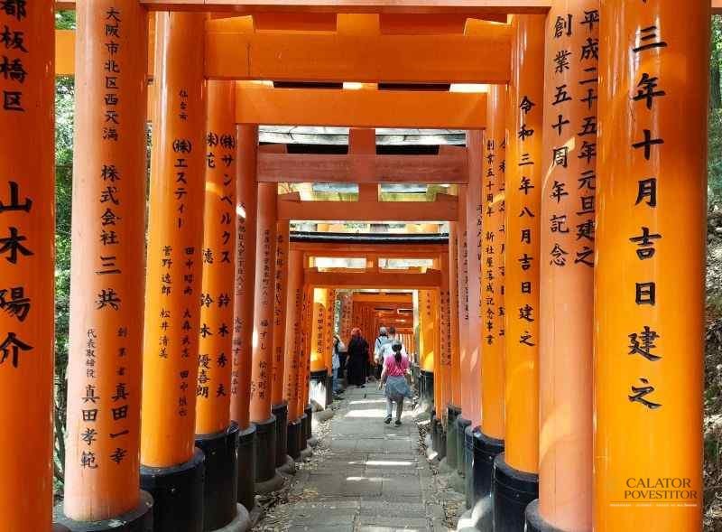 Top 5 atractii turistice din Kyoto – Japonia — 29
