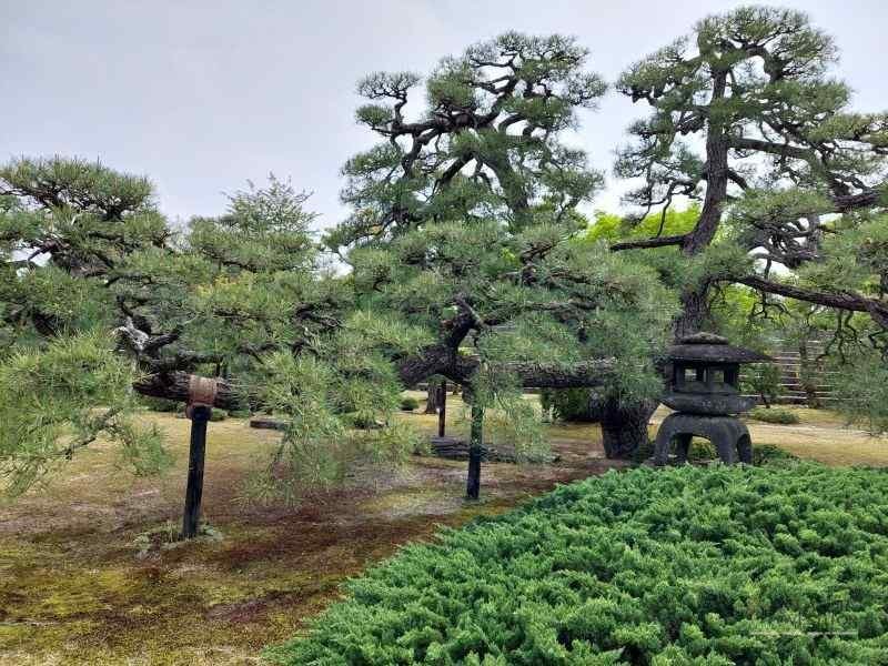 Top 5 atractii turistice din Kyoto – Japonia — 20