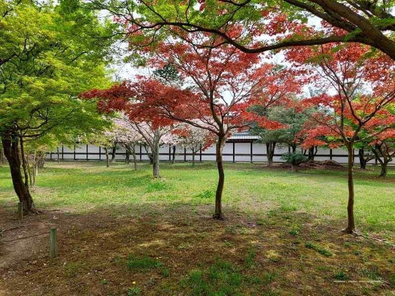 Top 5 atractii turistice din Kyoto – Japonia — 21