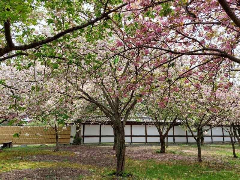 Top 5 atractii turistice din Kyoto – Japonia — 22