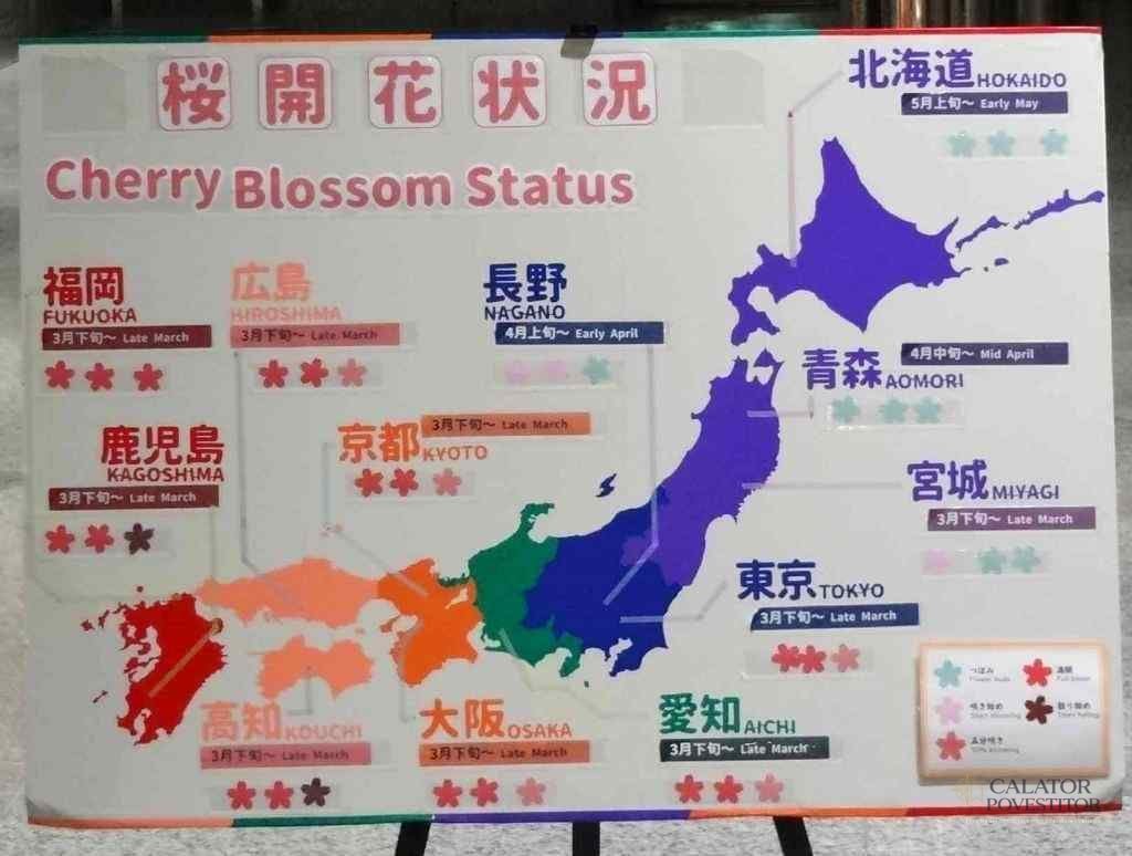 Vacanta in Japonia - afla cum poti vizita aceasta tara insulara