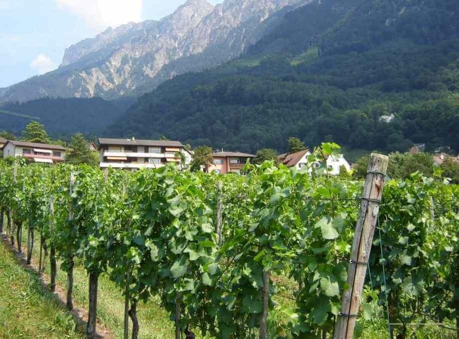 Atractii turistice in Liechtenstein - Vaduz, una din cele mai mici capitale din Europa