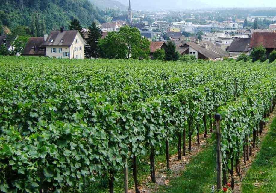 Atractii turistice in Liechtenstein - Vaduz, una din cele mai mici capitale din Europa