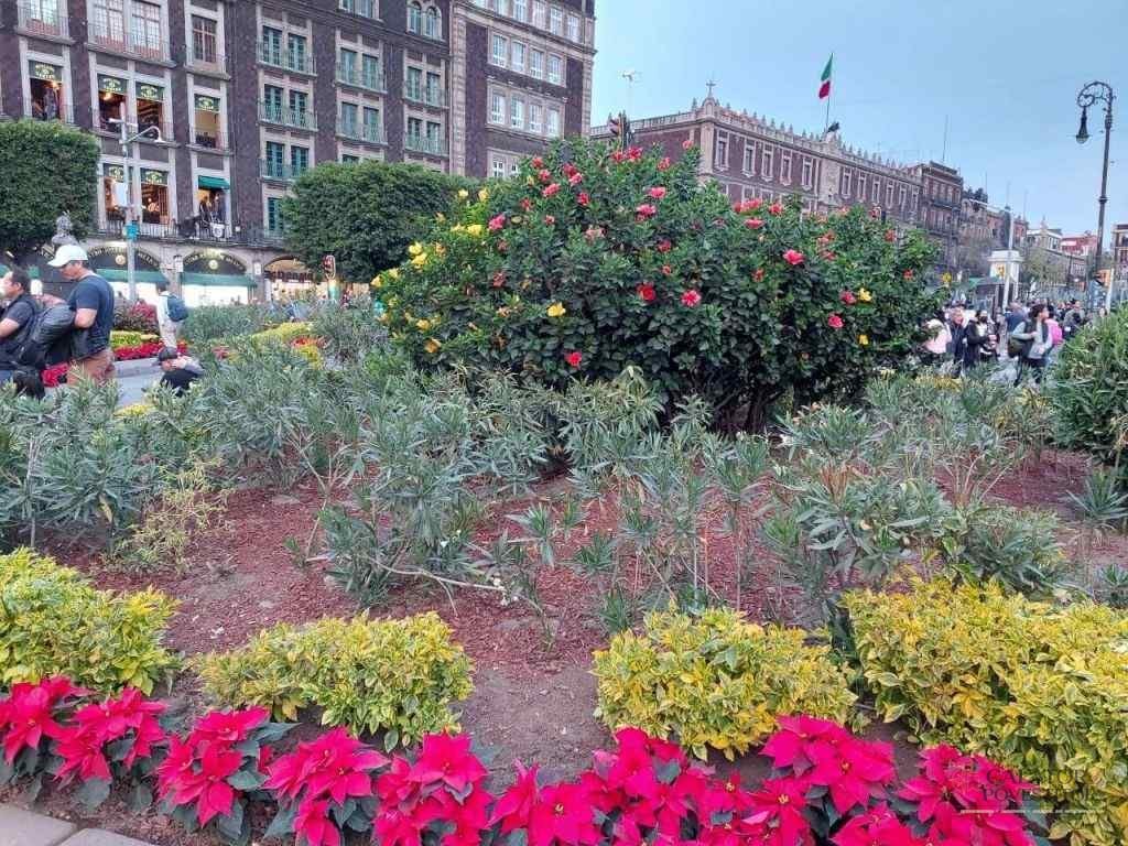 Ciudad - capitala Mexicului