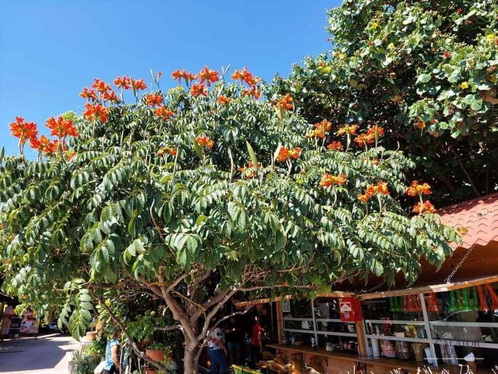 Oaxaca - obiective turistice