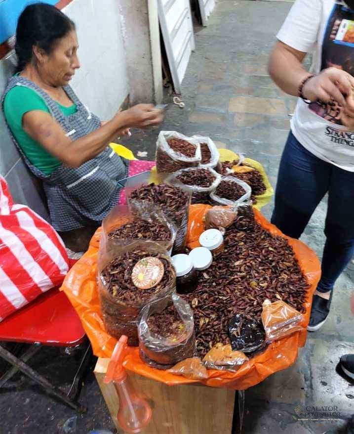 Oaxaca - obiective turistice