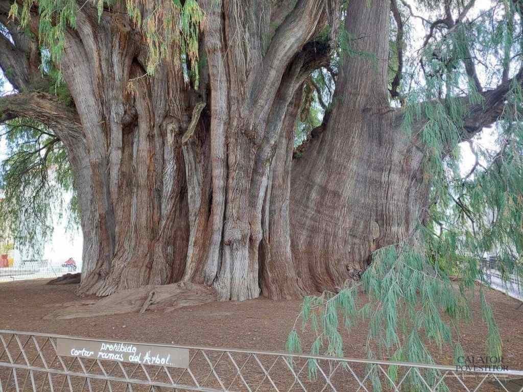 Obiective turistice Mexic