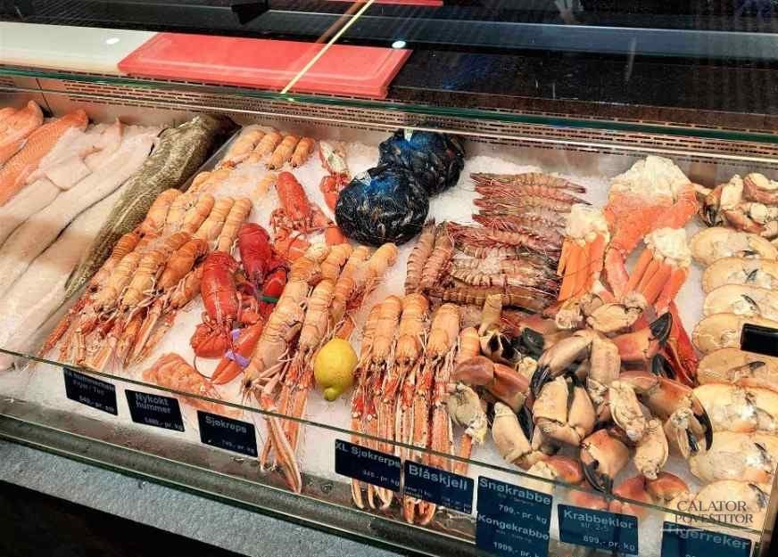 Bergen-poarta magica inspre minunatele fiorduri din Norvegia