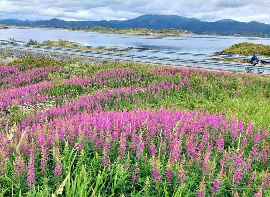 Calatorie in Norvegia : Atlantic Road si alte atractii turistice in Tara Fiordurilor