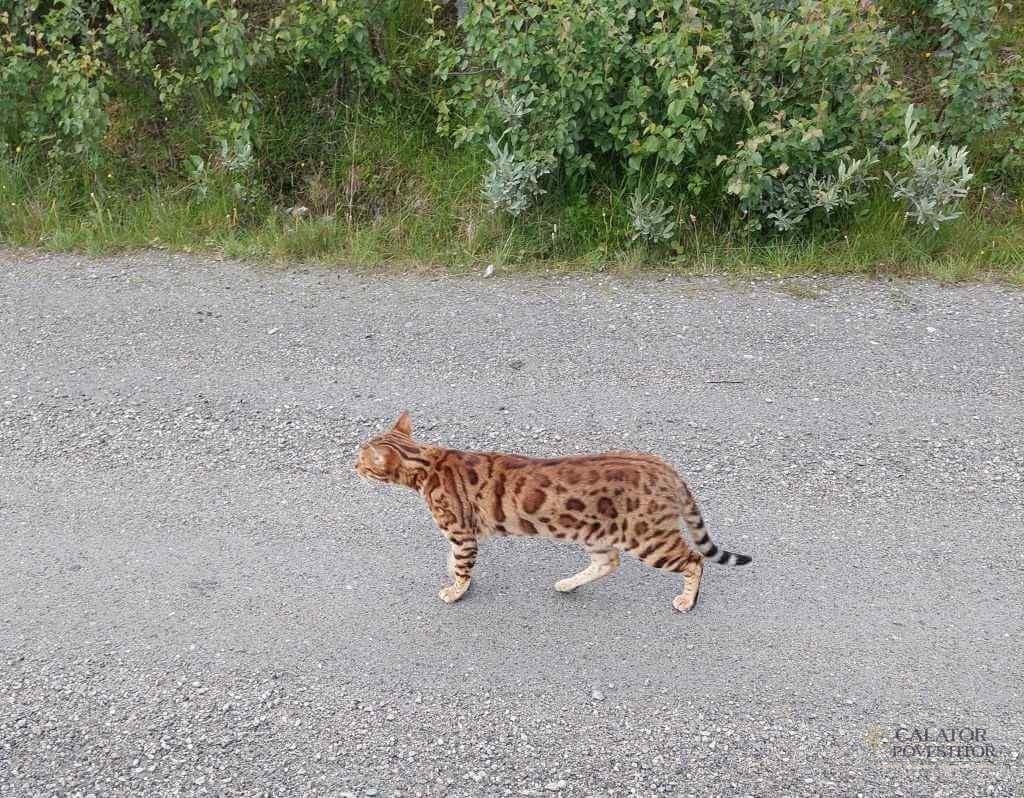 Locatii mai putin cunoscute pentru o vacanta de vis in Norvegia