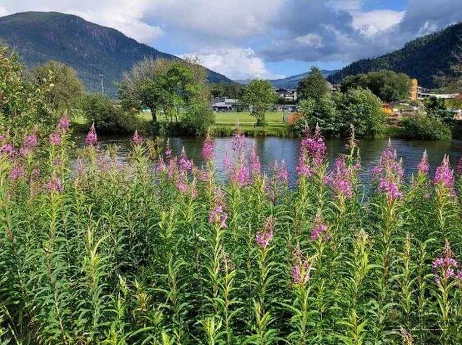 Locatii mai putin cunoscute pentru o vacanta de vis in Norvegia