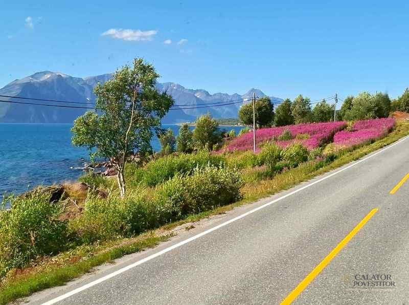 Norvegia - atractii turistice la paralela 70