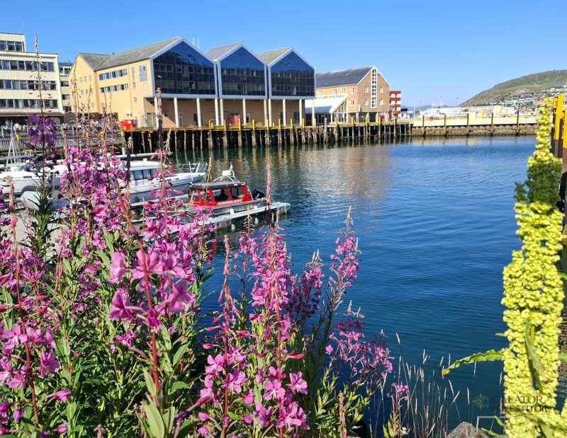 Norvegia - atractii turistice la paralela 70