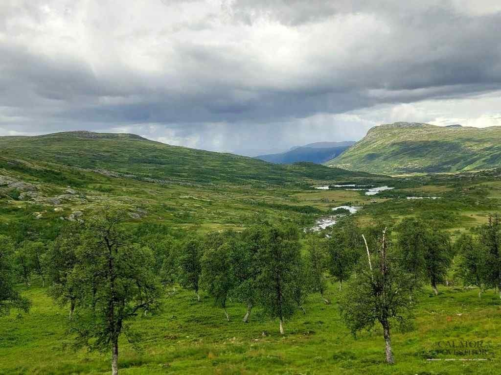 Satele izolate si povestile lacurilor din inima Norvegiei