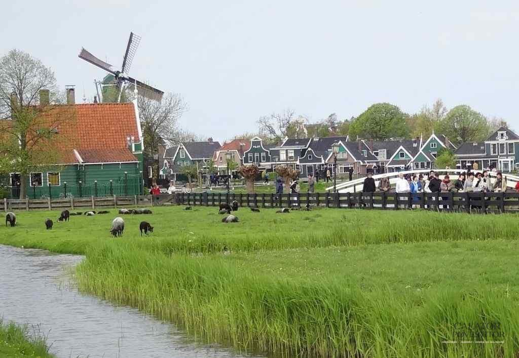 Ce să vezi în apropiere de Amsterdam - Zaanse Schans
