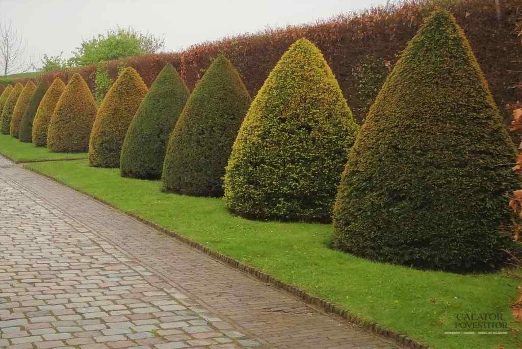Muiderslot