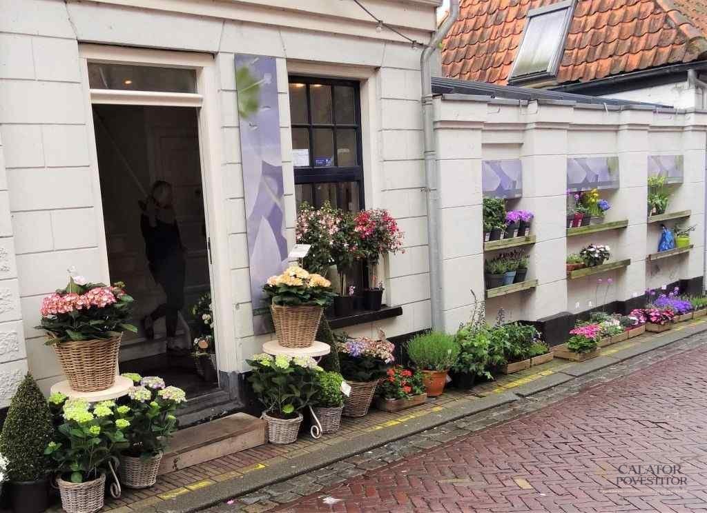 Muiden