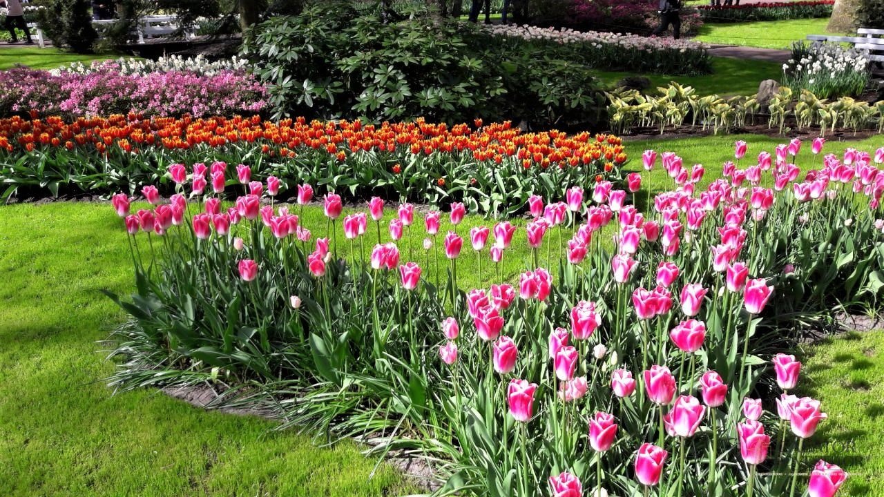 Cea mai mare expoziție florală din lume
