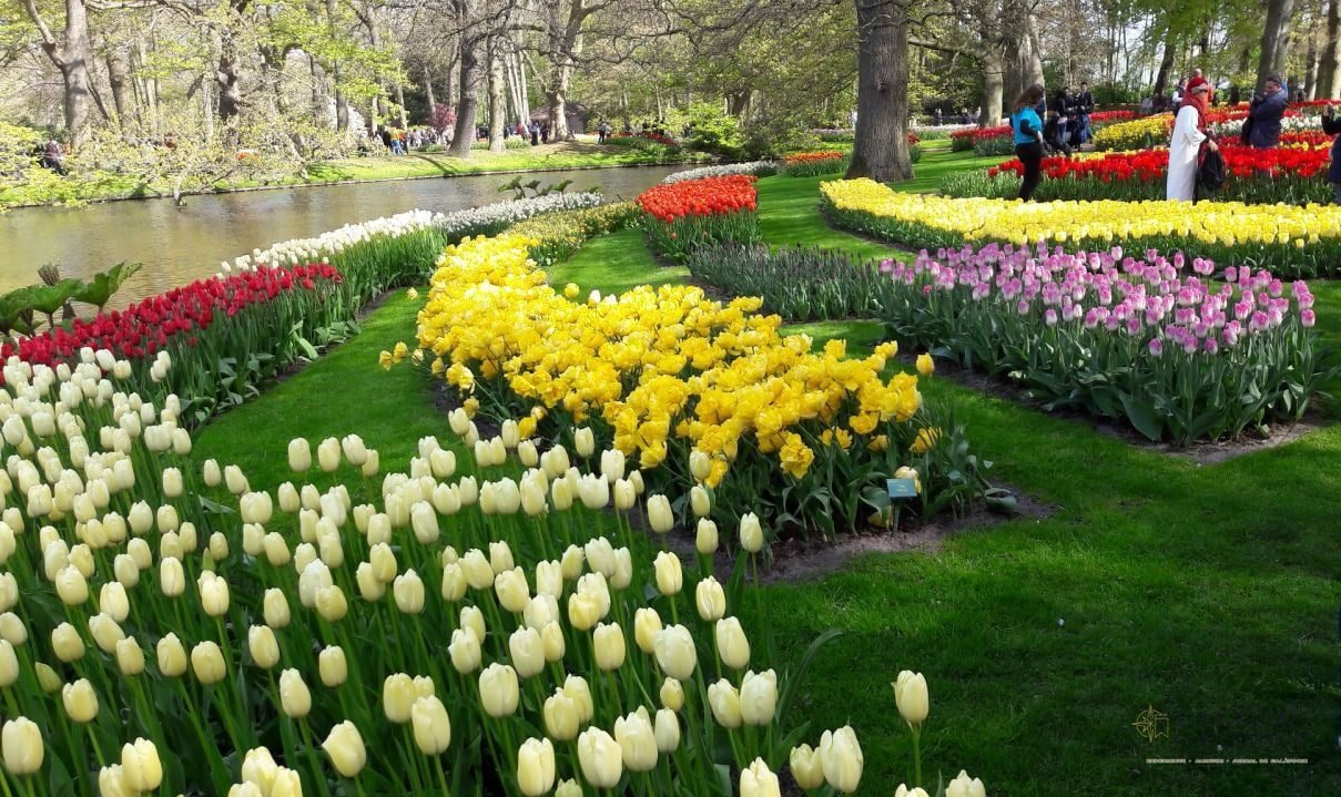 Keukenhof - cea mai mare expoziție florală