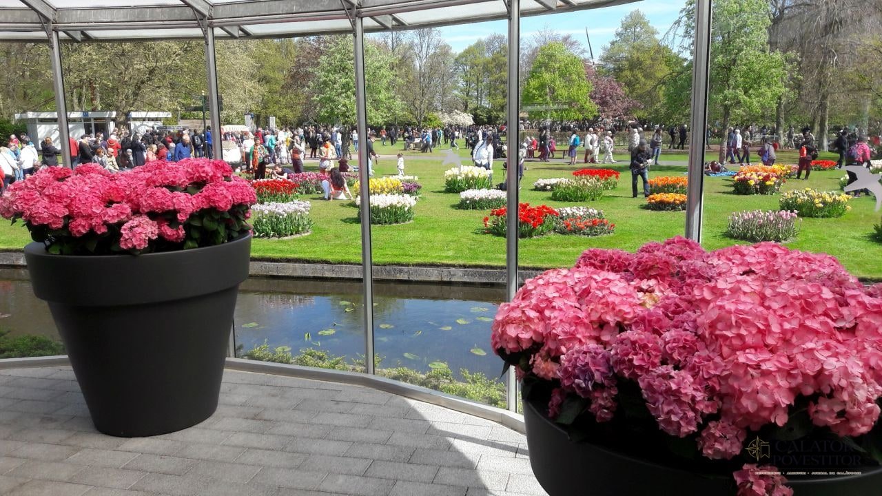 Cea mai mare expoziție florală din lume