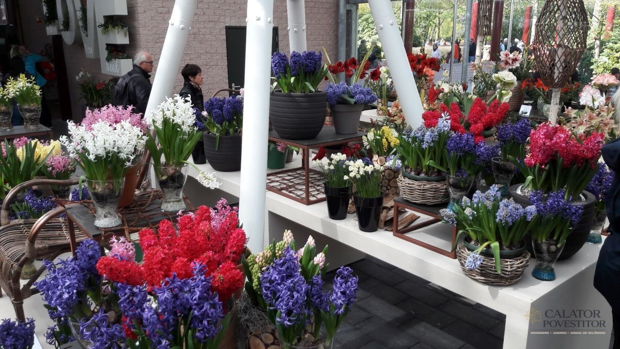 Keukenhof