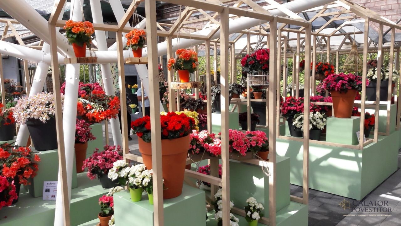 Keukenhof
