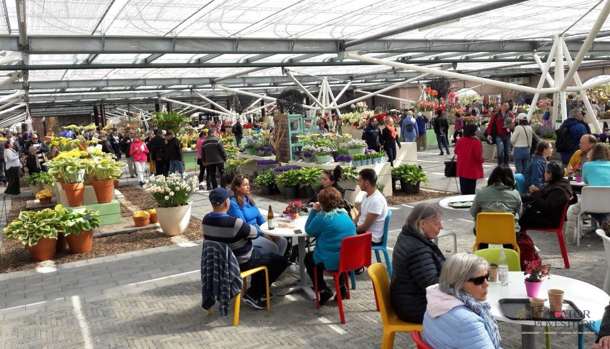 Keukenhof