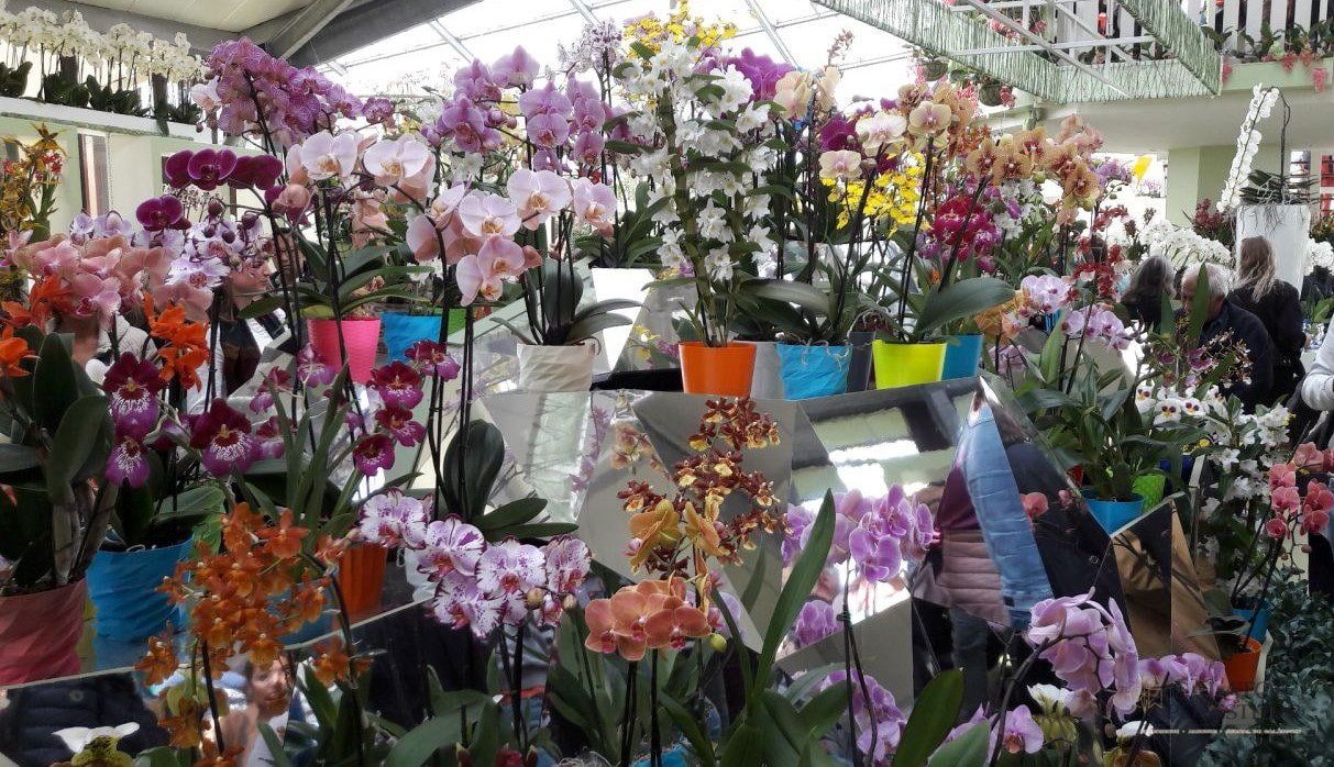 Cea mai mare expoziție florală din lume