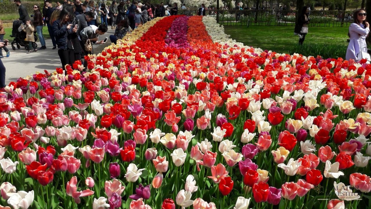 Keukenhof - cea mai mare expoziție florală