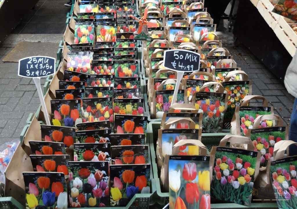 Bloemenmarkt Amsterdam