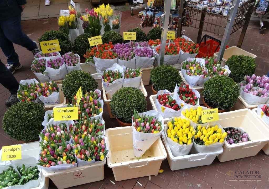 Bloemenmarkt Amsterdam