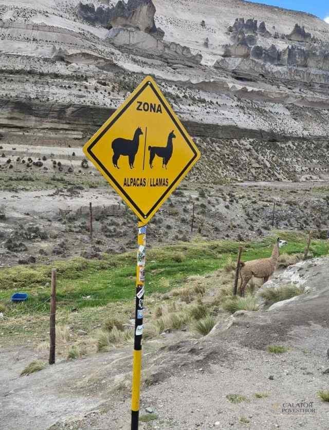 calatorie peru