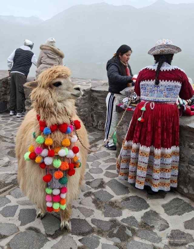 calatorie peru