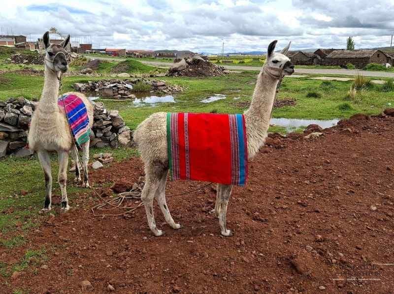 calatorie peru
