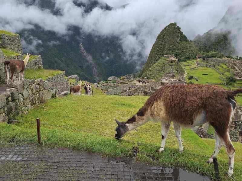 calatorie peru