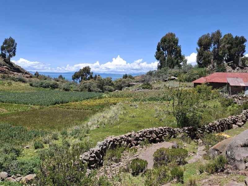 lacul titicaca peru