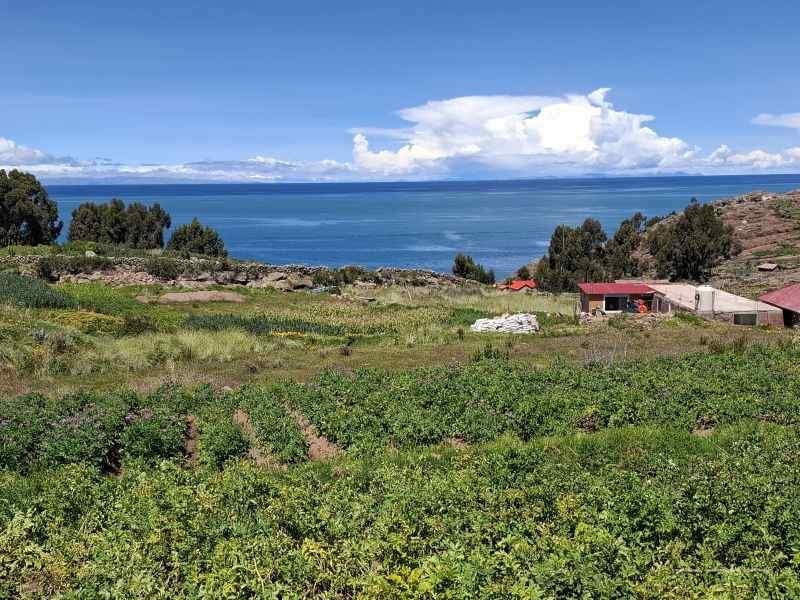 lacul titicaca peru