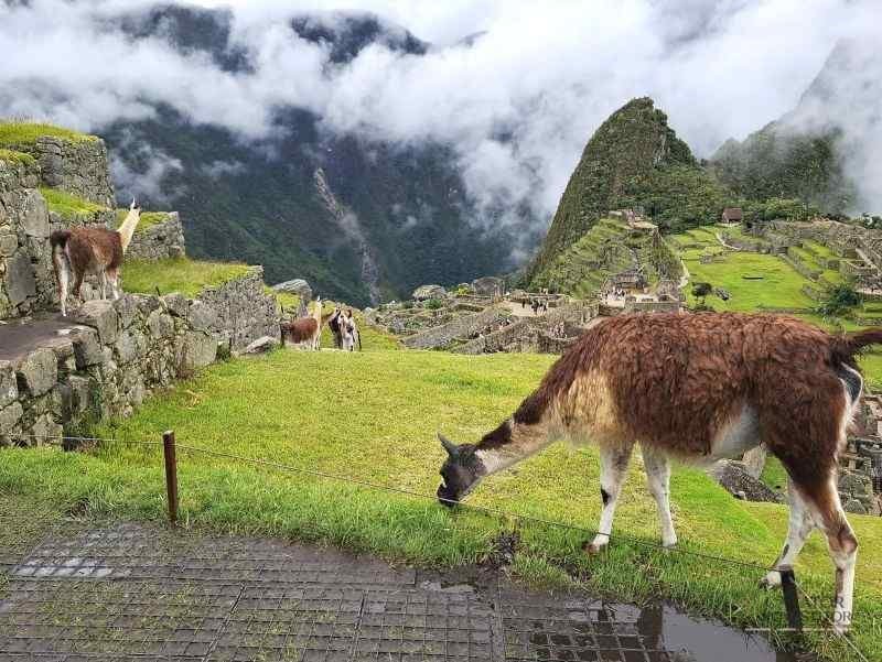 calatorie machu picchu