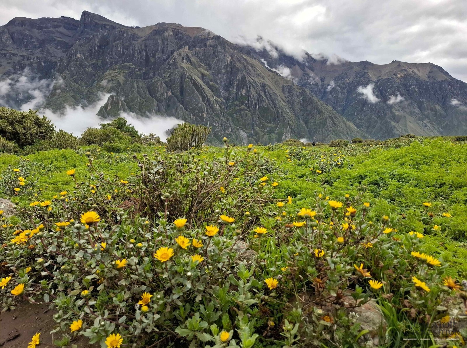 Obiective turistice de top din Peru — 45