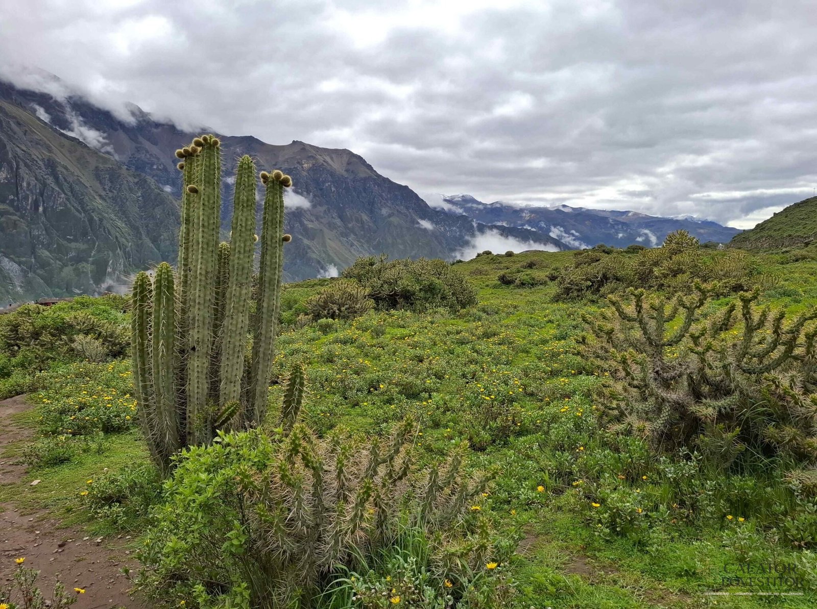 Obiective turistice de top din Peru — 48