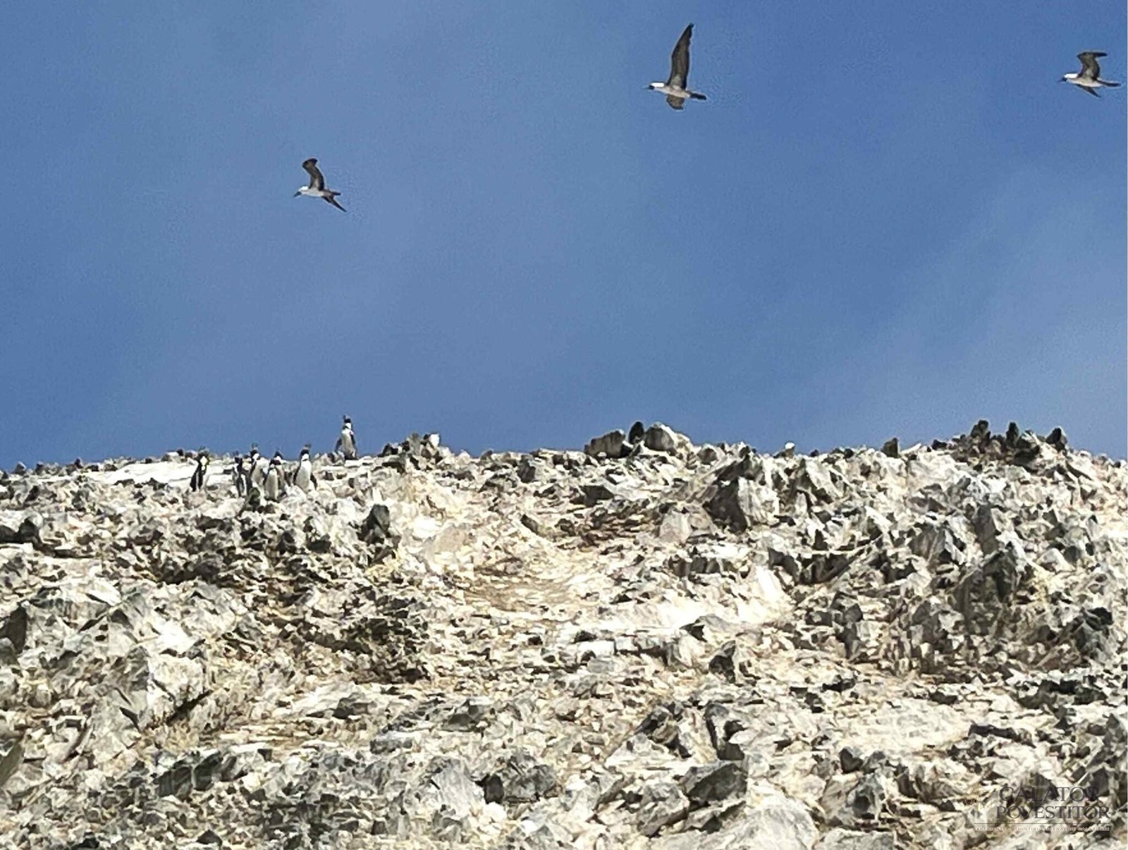Obiective turistice de top din Peru — 34