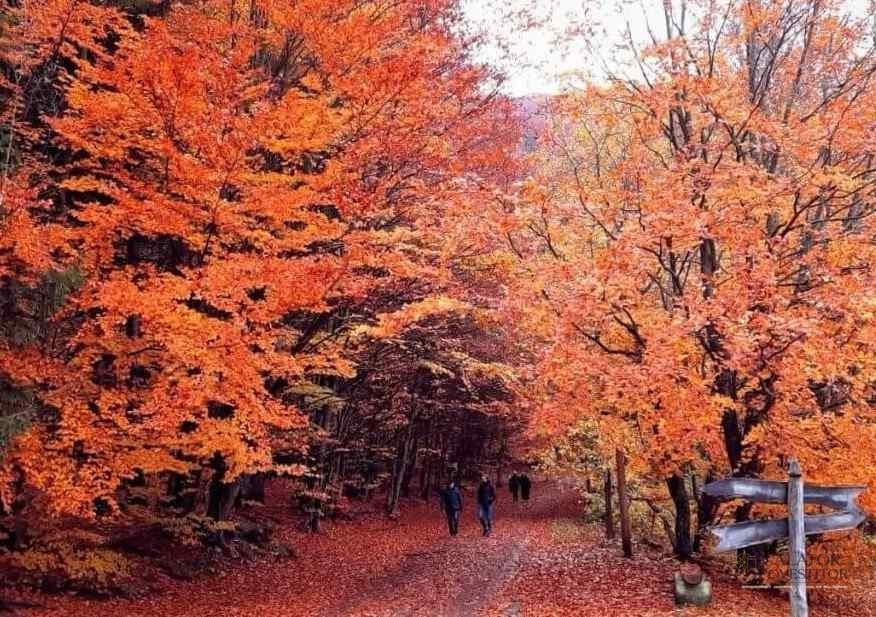 6 obiective turistice din Harghita
