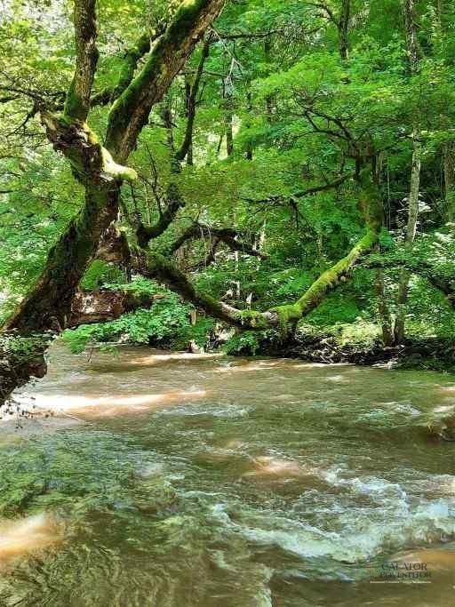 6 obiective turistice din Harghita