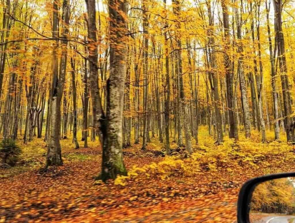 6 obiective turistice din Harghita