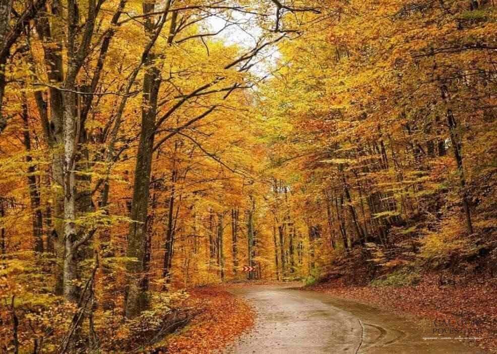 6 obiective turistice din Harghita