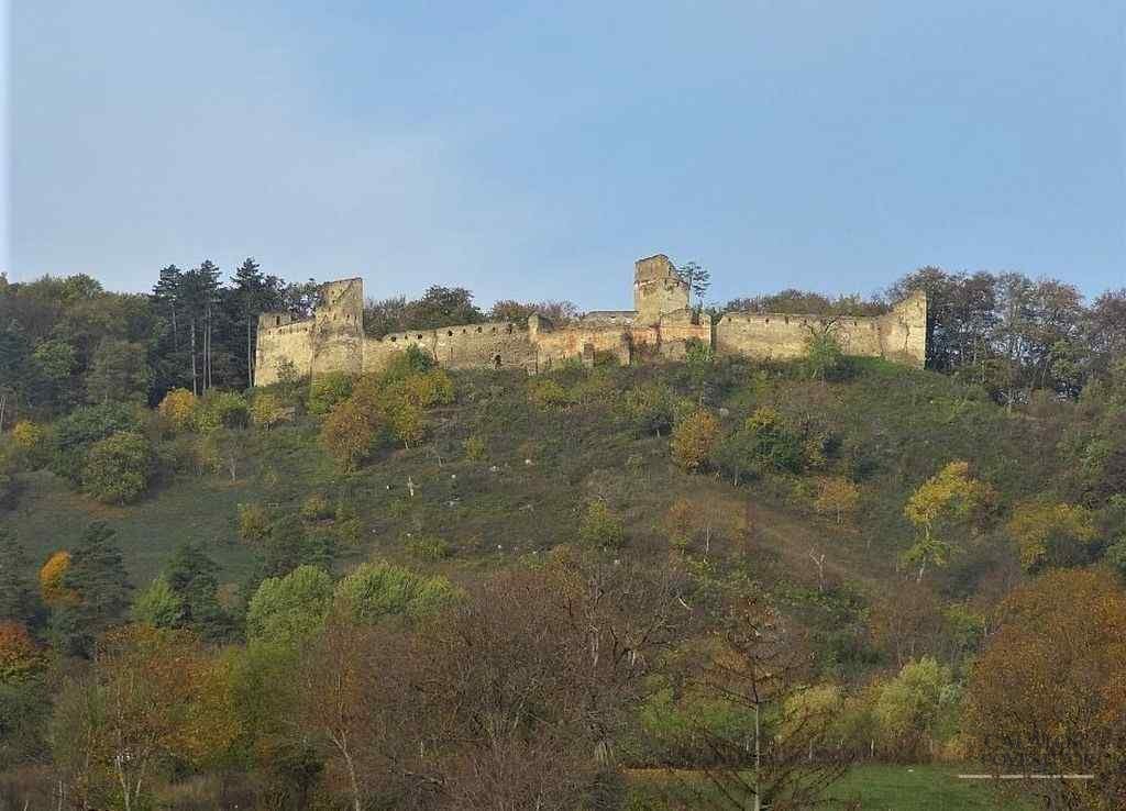 Saschiz
